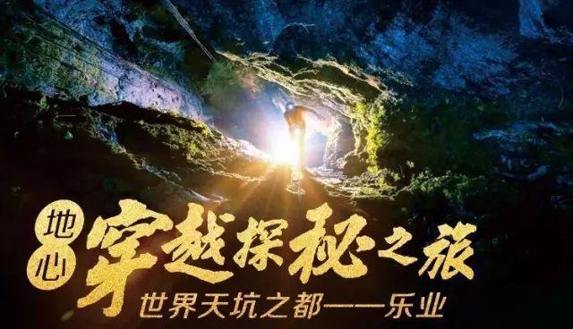 狗狗吃了老鼠的尾巴怎么办?-分享你的故事和见解